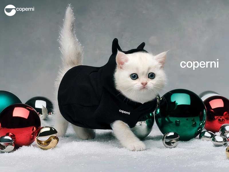 coperni paris campagne adorables chatons chats noel fete 2023 04 - Coperni, Invite des Chatons dans sa Campagne de Noel - Mode, Fashion, Chats, Campagne