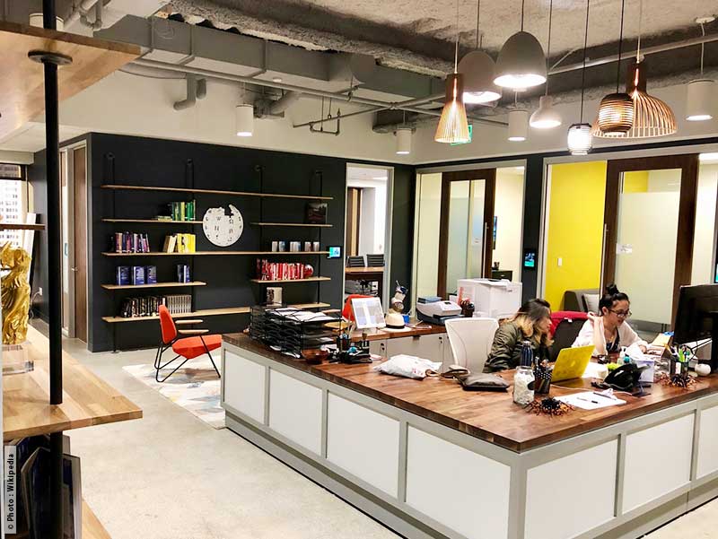 X Designs Bureau 2024