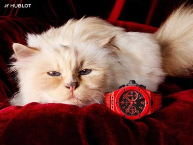 campagne- hublot montre chronographe big bang anniversaire 20 ans chat chatte birmane muse choupette karl lagerfelds