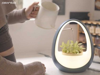 planto-led-lamp-lampe-ambiance-eau-pot-fleur-sans-electricite-prix