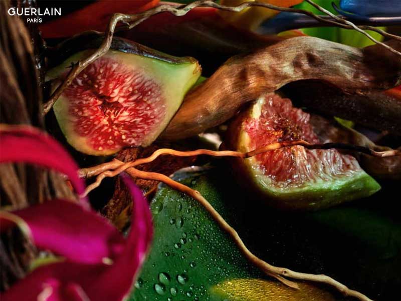 vetiver-fauve-nouveau-parfum-guerlain-l-art-et-la-matiere-femme-avis-composition-critique-prix