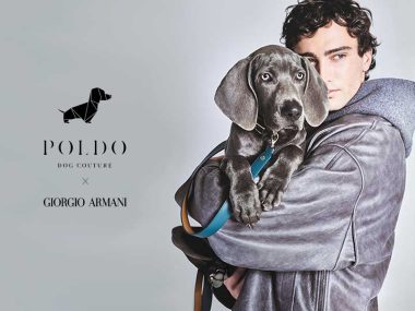 giorgio-armani-poldo-dog-couture-vetements-accessoires-chiens-chats-luxe-avis-prix