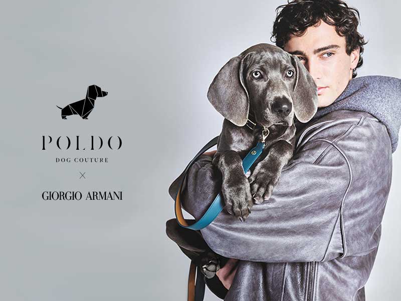giorgio-armani-poldo-dog-couture-vetements-accessoires-chiens-chats-luxe-avis-prix