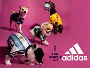 adidas-pet-coupe-du-monde-football-2026-fifa-maillots-accessoires-chiens-chats-avis-prix