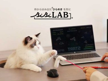 ibilab-bibi-lab-meow-serie-neko-house-desk-bureau-travail-chat-japon-avis-prix
